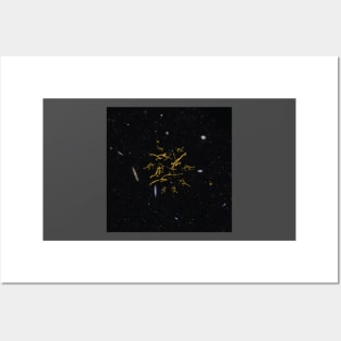 Galactic Bowmen Minimalist Paleolithic Cave Art Bow Fight Posters and Art